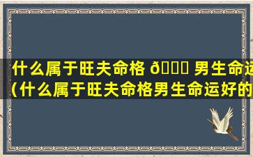 什么属于旺夫命格 🐘 男生命运（什么属于旺夫命格男生命运好的）